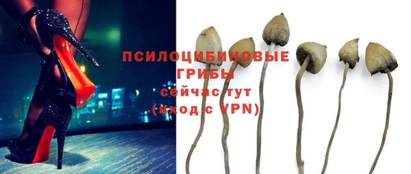 ALPHA PVP Вязники